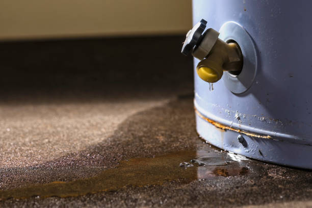 Best Flooded house restoration  in Ashland, IL