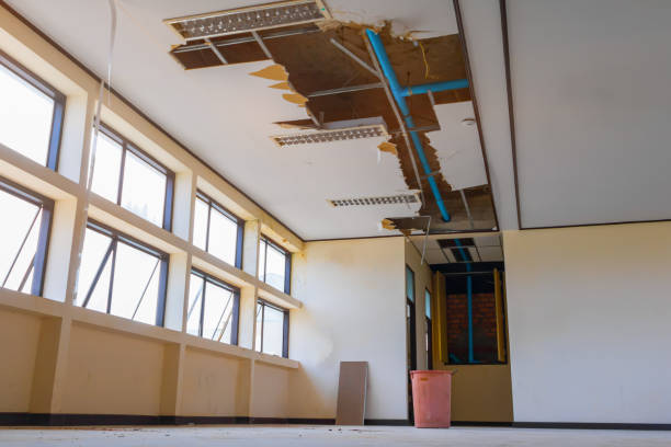 Best Fire Damage Restoration  in Ashland, IL
