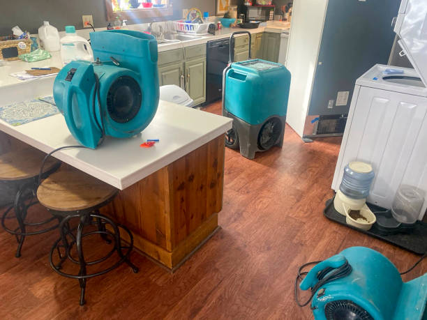  Ashland, IL Water damage restoration Pros