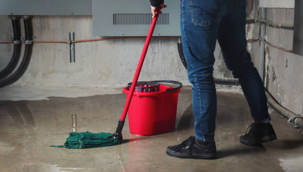 Best Flood restoration services  in Ashland, IL