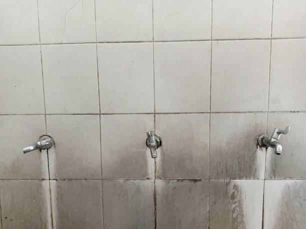 Best Water damage mitigation services  in Ashland, IL