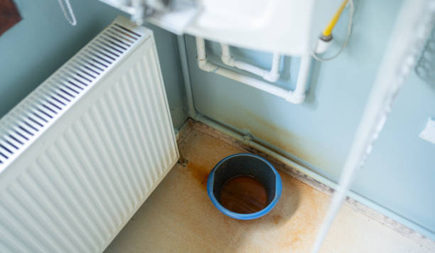 Best Commercial water damage restoration  in Ashland, IL