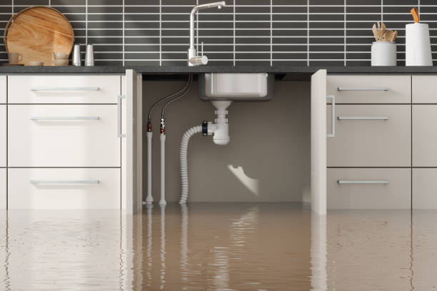 Best Commercial water damage restoration  in Ashland, IL